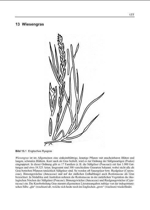 Vorschau 6